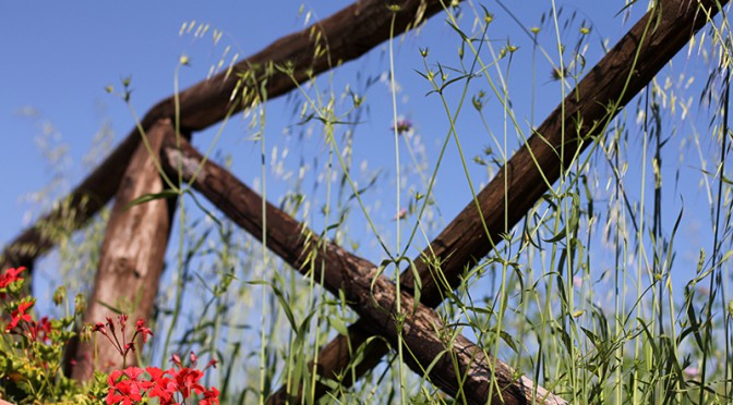 Francesco und Luigi in der Toskana