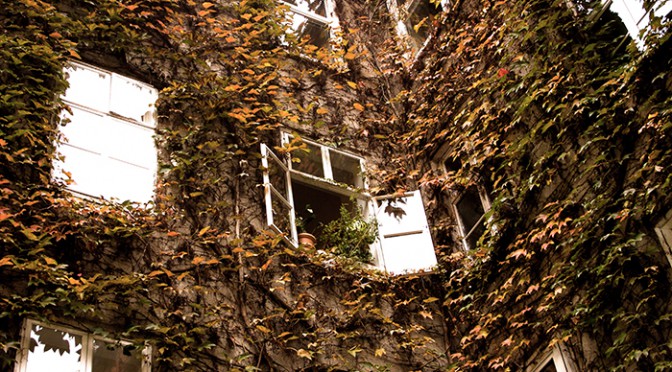 Herbsthaus