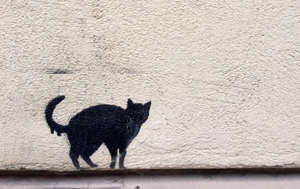 Adventkalender, 21. Türchen: Ein bisschen Cat-Content, ein bisschen Graffiti-Content