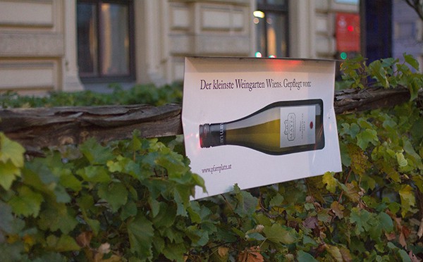 Adventkalender, 7. Türchen: Wiens kleinster Weingarten