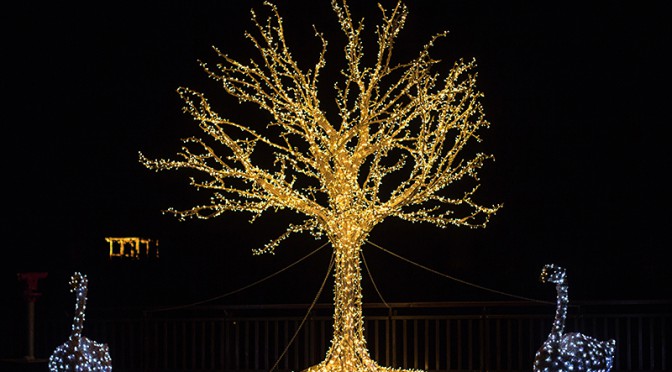 Adventkalender, 5. Türchen: Adventmarkt in Hirschstetten